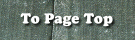 To Page Top